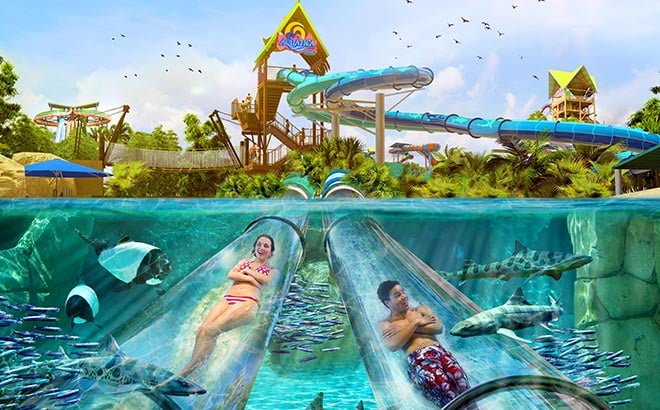 Aquatica Orlando Tickets