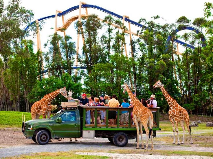 Busch Gardens Tampa Tickets