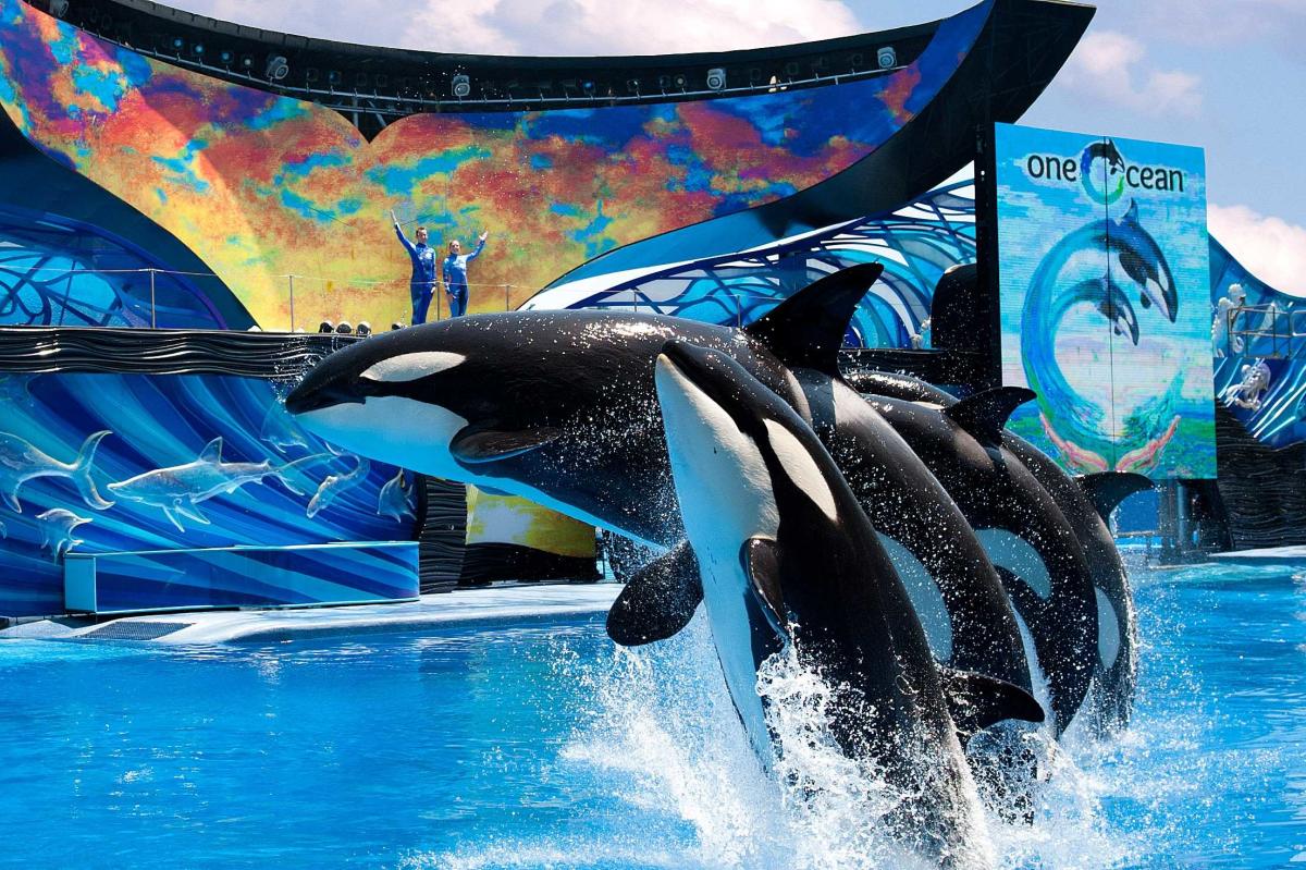 Seaworld Orlando Tickets