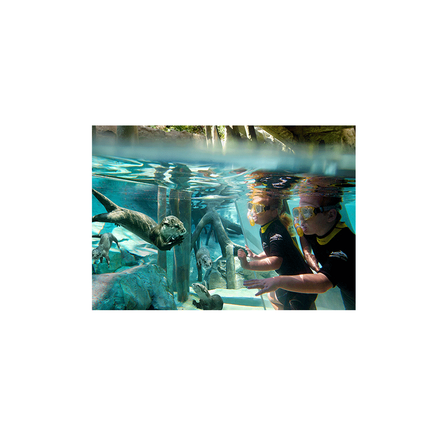 Seaworld Orlando Tickets